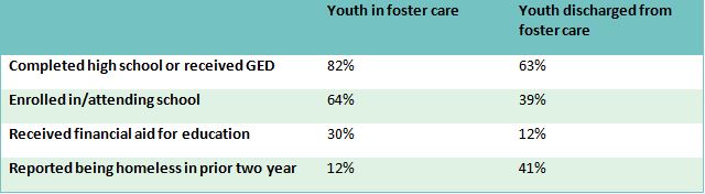 Minnesota Youth in Transition Database Data