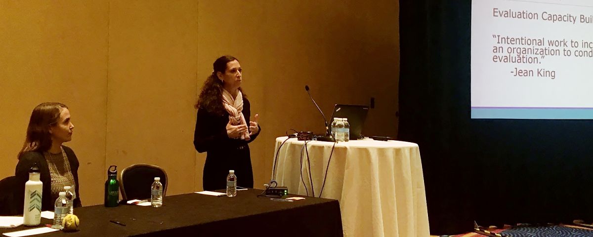 The Improve Group's Leah Goldstein Moses presents on Evaluation Capacity Building at the 2017 American Evaluation Association Conference