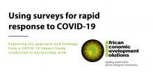 Image of text that says "Using surveys for rapid response to COVID-19; Exploring the approach and findings from a COVID-19 Impact Study conducted in partnership with African Economic Development Solutions."